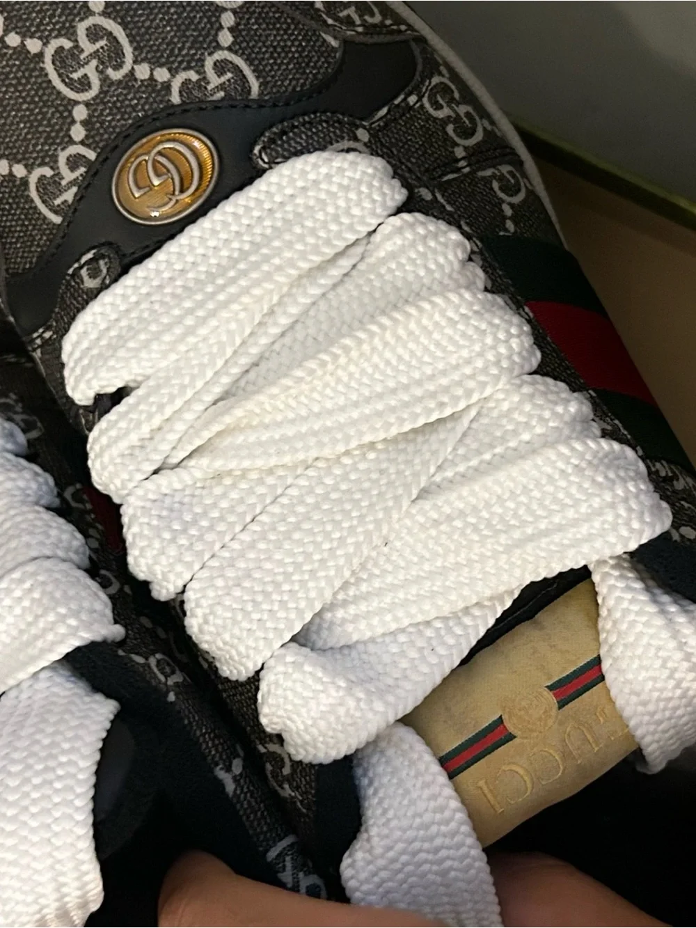 Gucci Brown GG Supreme Sneaker with Red & Green Web and White Laces